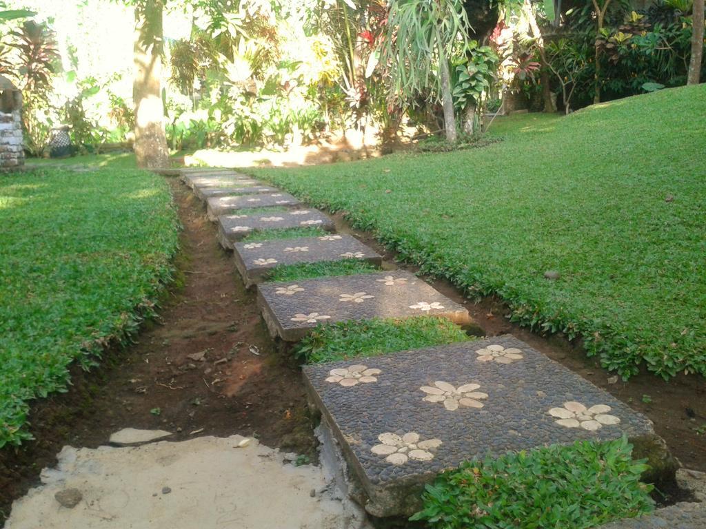 Indraprastha Ubud Home Stay Rum bild
