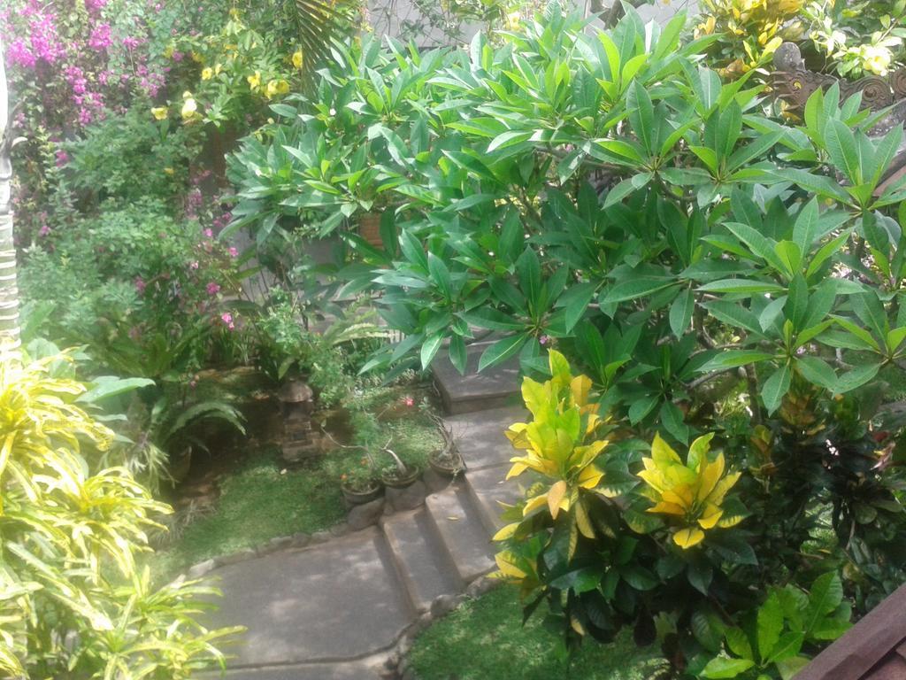 Indraprastha Ubud Home Stay Rum bild
