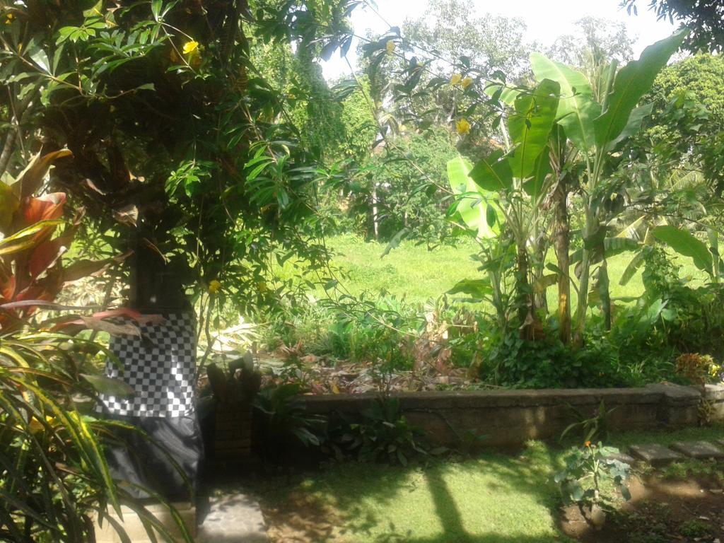 Indraprastha Ubud Home Stay Exteriör bild
