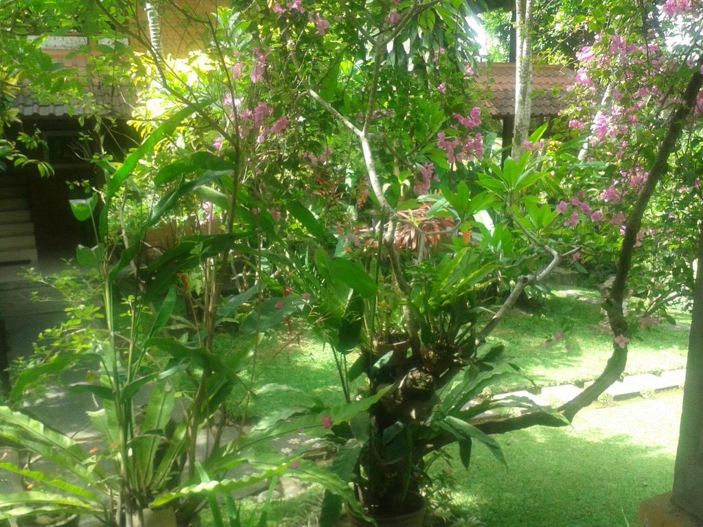 Indraprastha Ubud Home Stay Rum bild