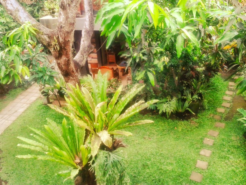 Indraprastha Ubud Home Stay Rum bild