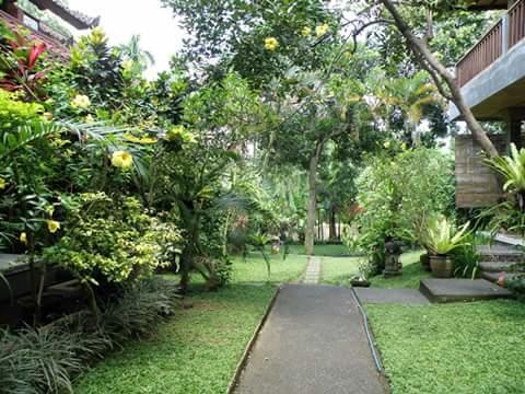 Indraprastha Ubud Home Stay Exteriör bild